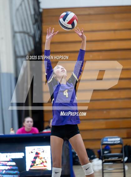 Thumbnail 3 in Stagg @ Tokay photogallery.