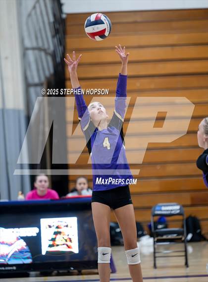 Thumbnail 1 in Stagg @ Tokay photogallery.