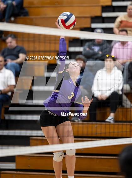 Thumbnail 3 in Stagg @ Tokay photogallery.