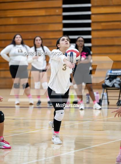 Thumbnail 2 in Stagg @ Tokay photogallery.