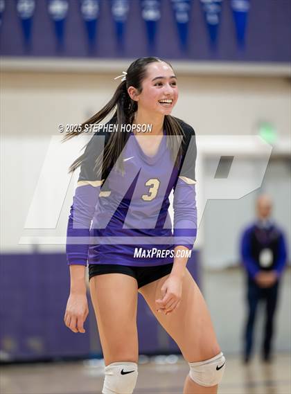 Thumbnail 1 in Stagg @ Tokay photogallery.
