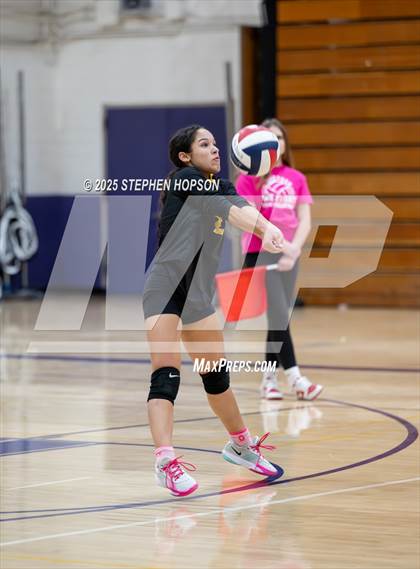 Thumbnail 3 in Stagg @ Tokay photogallery.