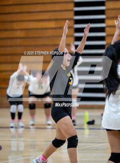 Thumbnail 1 in Stagg @ Tokay photogallery.