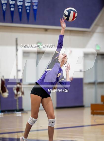 Thumbnail 1 in Stagg @ Tokay photogallery.