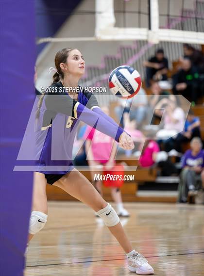 Thumbnail 1 in Stagg @ Tokay photogallery.