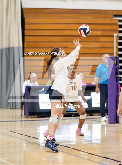 Thumbnail 1 in Stagg @ Tokay photogallery.