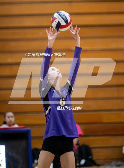 Thumbnail 1 in Stagg @ Tokay photogallery.