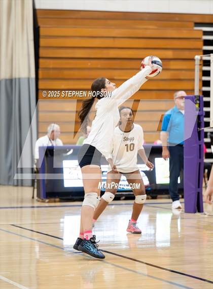 Thumbnail 2 in Stagg @ Tokay photogallery.