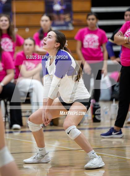 Thumbnail 2 in Stagg @ Tokay photogallery.