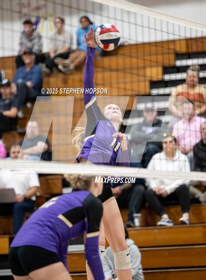 Thumbnail 2 in Stagg @ Tokay photogallery.