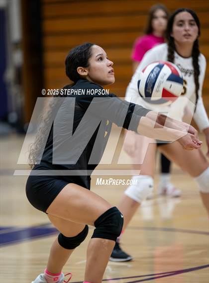 Thumbnail 2 in Stagg @ Tokay photogallery.