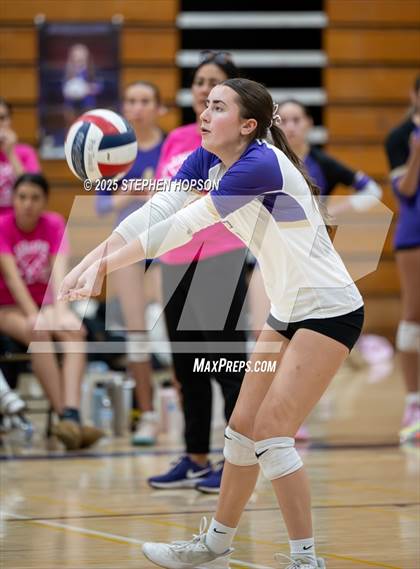 Thumbnail 1 in Stagg @ Tokay photogallery.