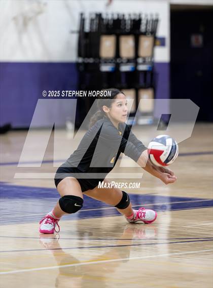 Thumbnail 1 in Stagg @ Tokay photogallery.