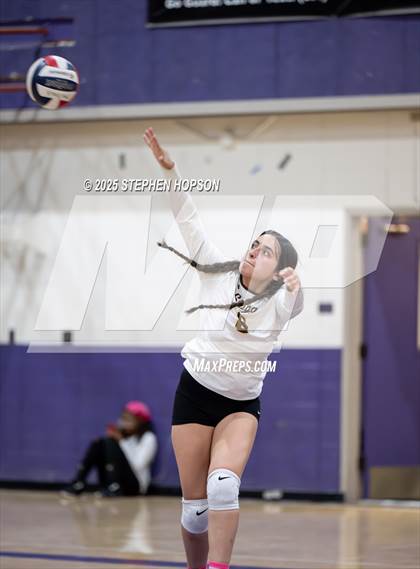 Thumbnail 1 in Stagg @ Tokay photogallery.