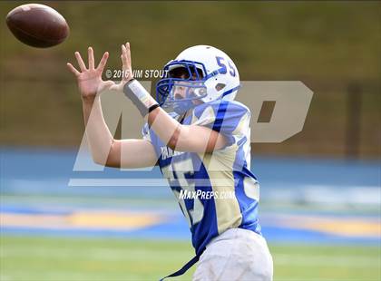 Thumbnail 1 in New Milford @ Newtown photogallery.