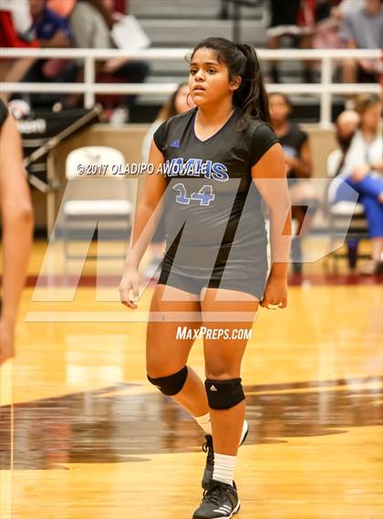 Thumbnail 1 in North Mesquite @ Rockwall Heath photogallery.