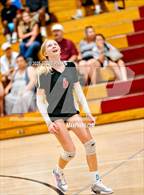 Photo from the gallery "McClatchy @ Laguna Creek"