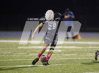Thumbnail 2 in Pine Forest @ IMG Academy photogallery.
