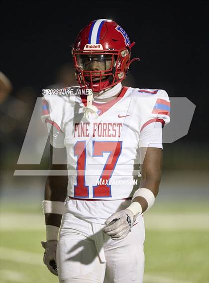Thumbnail 2 in Pine Forest @ IMG Academy photogallery.