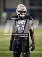 Photo from the gallery "Pine Forest @ IMG Academy"
