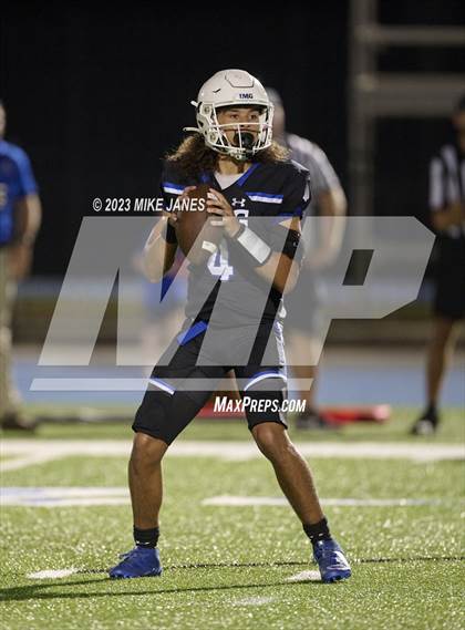 Thumbnail 2 in Pine Forest @ IMG Academy photogallery.