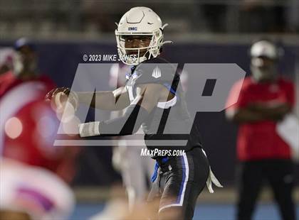 Thumbnail 3 in Pine Forest @ IMG Academy photogallery.