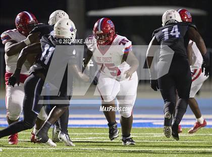 Thumbnail 3 in Pine Forest @ IMG Academy photogallery.
