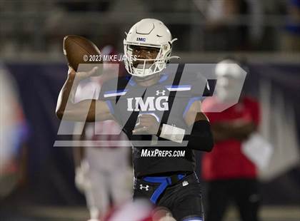 Thumbnail 1 in Pine Forest @ IMG Academy photogallery.