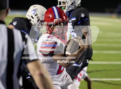 Thumbnail 3 in Pine Forest @ IMG Academy photogallery.