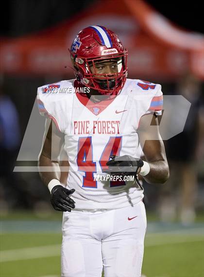 Thumbnail 2 in Pine Forest @ IMG Academy photogallery.