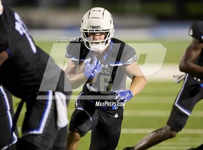 Thumbnail 2 in Pine Forest @ IMG Academy photogallery.