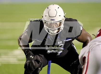 Thumbnail 1 in Pine Forest @ IMG Academy photogallery.