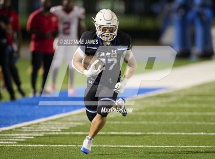 Thumbnail 2 in Pine Forest @ IMG Academy photogallery.