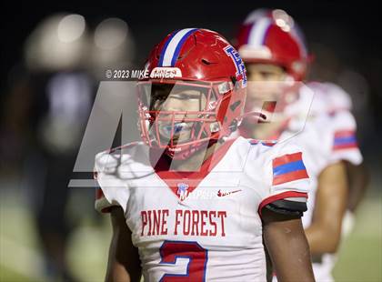 Thumbnail 3 in Pine Forest @ IMG Academy photogallery.