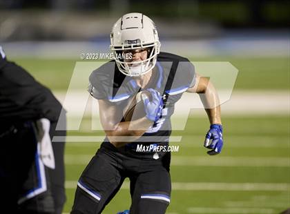Thumbnail 3 in Pine Forest @ IMG Academy photogallery.