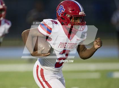 Thumbnail 3 in Pine Forest @ IMG Academy photogallery.