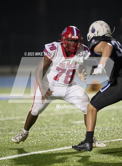 Thumbnail 3 in Pine Forest @ IMG Academy photogallery.