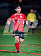 Photo from the gallery "Seaside vs. Laguna Creek"