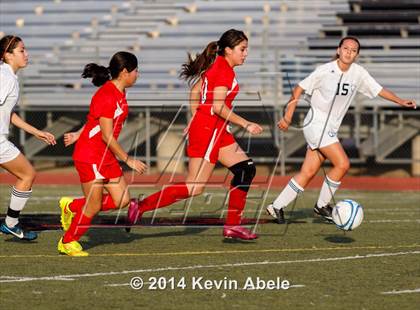 Thumbnail 3 in Paradise Valley vs Goldwater (Pride in Paradise Tournament) photogallery.