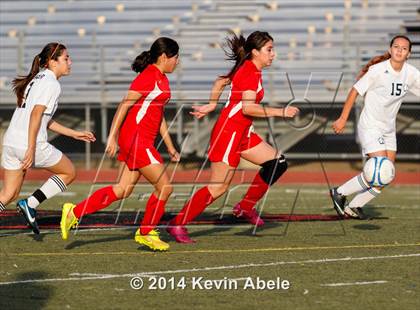 Thumbnail 2 in Paradise Valley vs Goldwater (Pride in Paradise Tournament) photogallery.