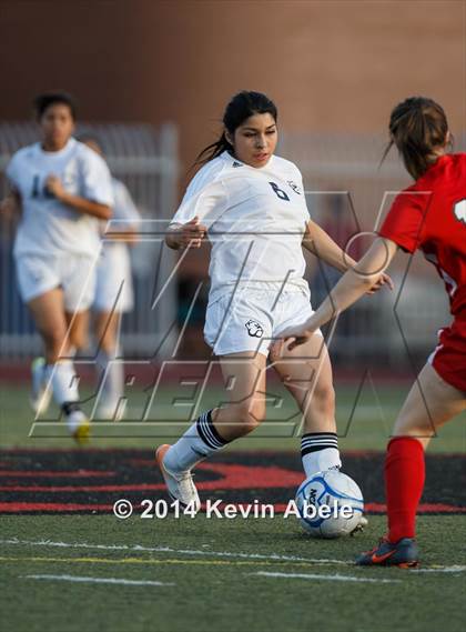 Thumbnail 1 in Paradise Valley vs Goldwater (Pride in Paradise Tournament) photogallery.