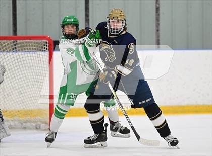 Thumbnail 1 in Notre Dame, Ffd vs. Northwest Catholic (CIAC D1 1st Round) photogallery.