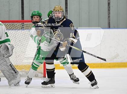 Thumbnail 1 in Notre Dame, Ffd vs. Northwest Catholic (CIAC D1 1st Round) photogallery.