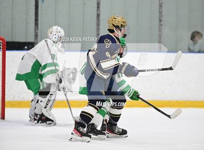 Thumbnail 1 in Notre Dame, Ffd vs. Northwest Catholic (CIAC D1 1st Round) photogallery.