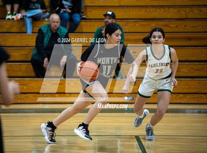 Thumbnail 2 in Donna North @ Harlingen South photogallery.