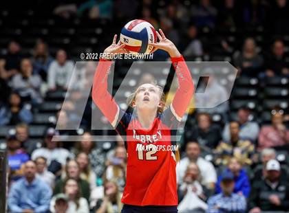Thumbnail 3 in Aubrey vs. Randall (UIL 4A Final) photogallery.