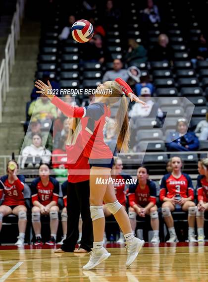 Thumbnail 3 in Aubrey vs. Randall (UIL 4A Final) photogallery.