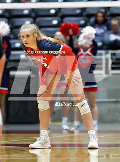 Thumbnail 1 in Aubrey vs. Randall (UIL 4A Final) photogallery.