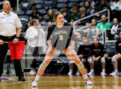 Thumbnail 1 in Aubrey vs. Randall (UIL 4A Final) photogallery.