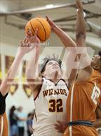 Photo from the gallery "Mead @ Windsor"